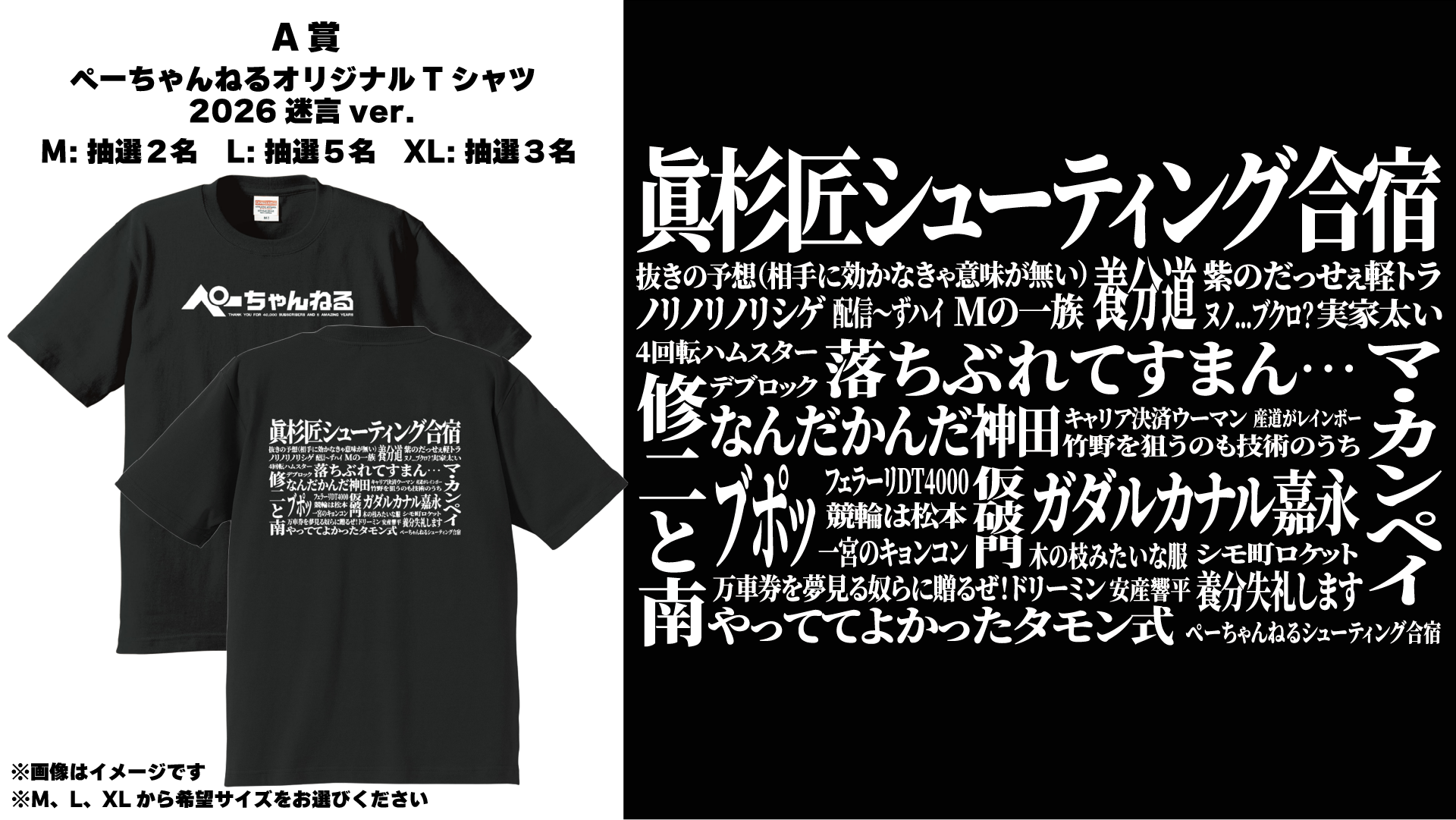 ぺーちゃんねるオリジナルTシャツ(2026迷言ver.)