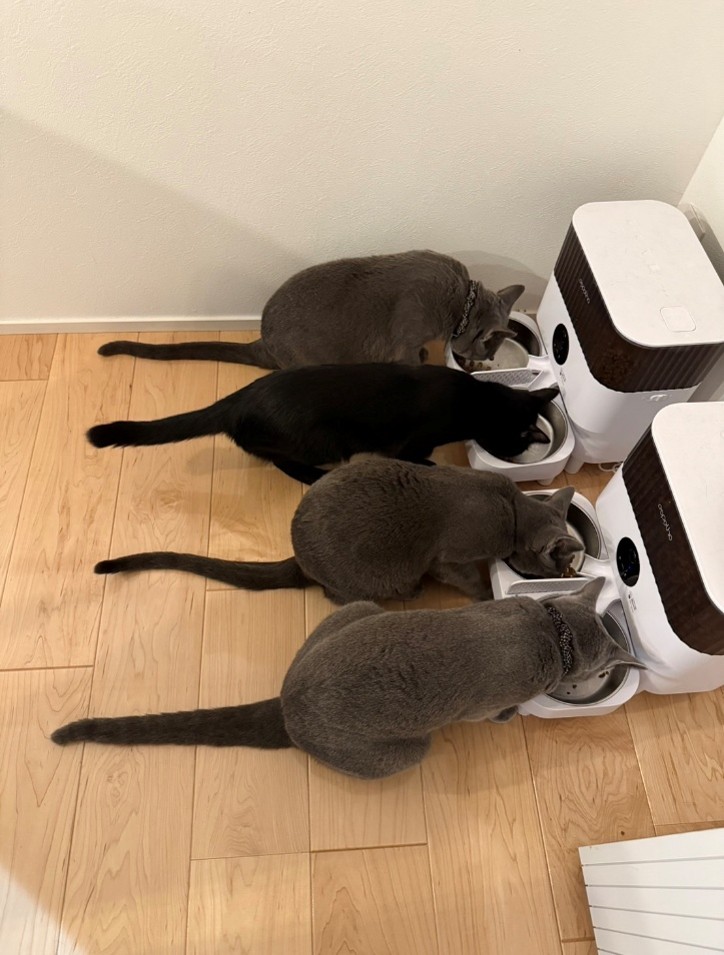 吉川選手家族・ペット写真